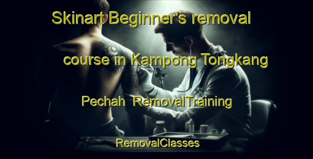 Skinart Beginner's removal course in Kampong Tongkang Pechah | RemovalTraining | RemovalClasses | SkinartTraining-Singapore