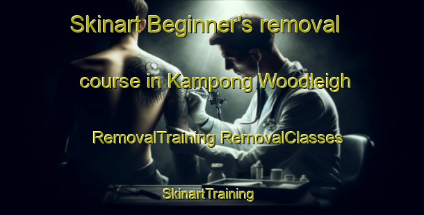 Skinart Beginner's removal course in Kampong Woodleigh | #RemovalTraining #RemovalClasses #SkinartTraining-Singapore