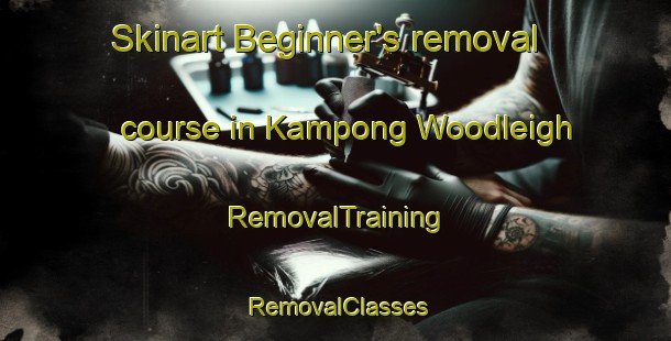 Skinart Beginner's removal course in Kampong Woodleigh | RemovalTraining | RemovalClasses | SkinartTraining-Singapore