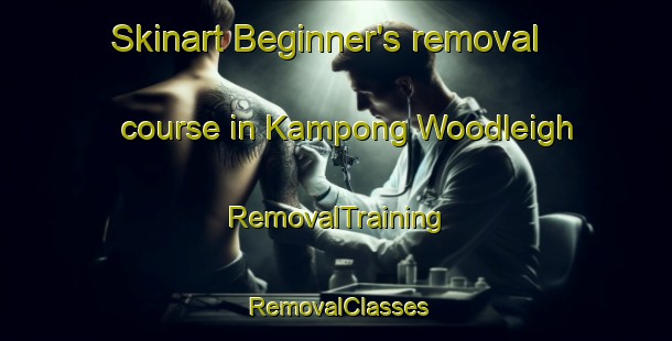 Skinart Beginner's removal course in Kampong Woodleigh | RemovalTraining | RemovalClasses | SkinartTraining-Singapore