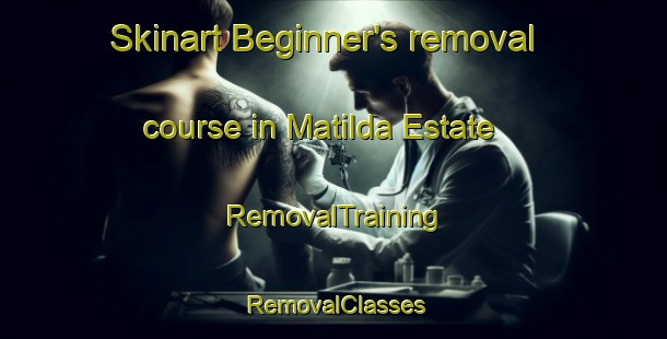 Skinart Beginner's removal course in Matilda Estate | RemovalTraining | RemovalClasses | SkinartTraining-Singapore