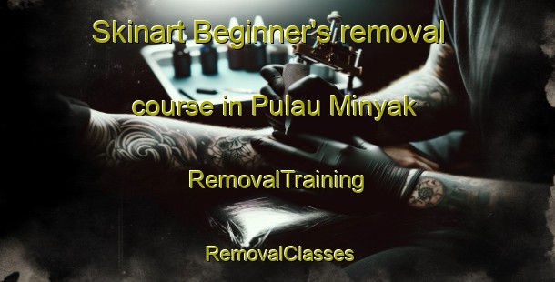 Skinart Beginner's removal course in Pulau Minyak | RemovalTraining | RemovalClasses | SkinartTraining-Singapore
