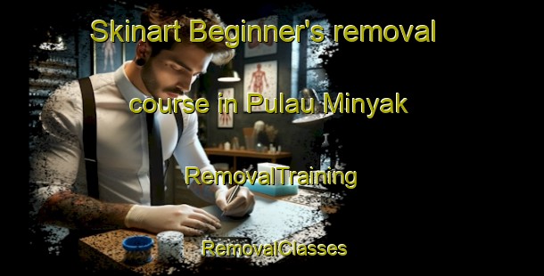 Skinart Beginner's removal course in Pulau Minyak | RemovalTraining | RemovalClasses | SkinartTraining-Singapore