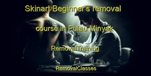 Skinart Beginner's removal course in Pulau Minyak | RemovalTraining | RemovalClasses | SkinartTraining-Singapore