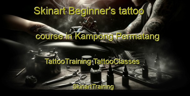 Skinart Beginner's tattoo course in Kampong Permatang | #TattooTraining #TattooClasses #SkinartTraining-Singapore