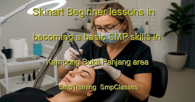 Skinart Beginner lessons in becoming a basic SMP skills in Kampong Bukit Panjang area | SmpTraining | SmpClasses | SkinartTraining-Singapore