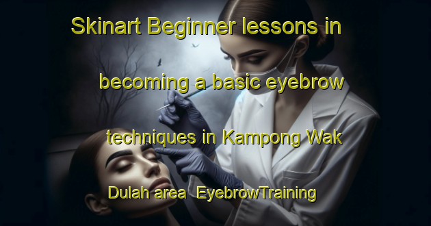 Skinart Beginner lessons in becoming a basic eyebrow techniques in Kampong Wak Dulah area | EyebrowTraining | EyebrowClasses | SkinartTraining-Singapore