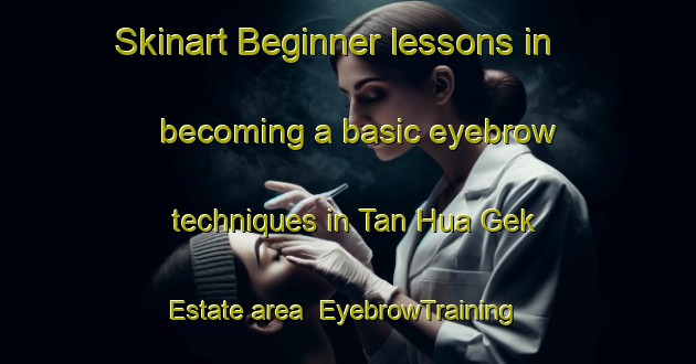 Skinart Beginner lessons in becoming a basic eyebrow techniques in Tan Hua Gek Estate area | EyebrowTraining | EyebrowClasses | SkinartTraining-Singapore