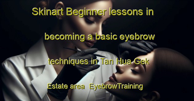 Skinart Beginner lessons in becoming a basic eyebrow techniques in Tan Hua Gek Estate area | EyebrowTraining | EyebrowClasses | SkinartTraining-Singapore