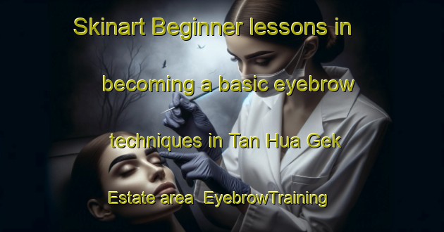 Skinart Beginner lessons in becoming a basic eyebrow techniques in Tan Hua Gek Estate area | EyebrowTraining | EyebrowClasses | SkinartTraining-Singapore