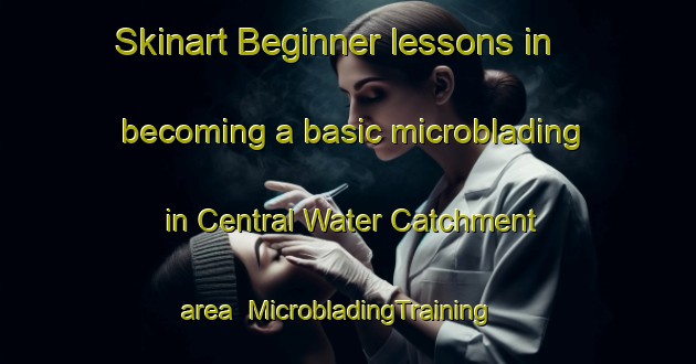 Skinart Beginner lessons in becoming a basic microblading in Central Water Catchment area | MicrobladingTraining | MicrobladingClasses | SkinartTraining-Singapore