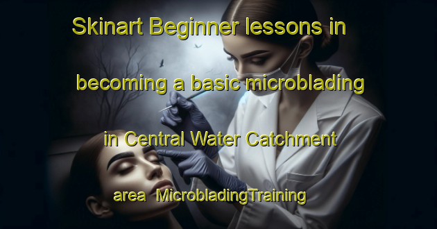 Skinart Beginner lessons in becoming a basic microblading in Central Water Catchment area | MicrobladingTraining | MicrobladingClasses | SkinartTraining-Singapore