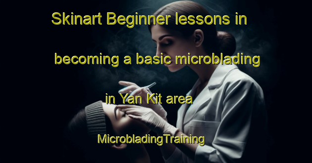 Skinart Beginner lessons in becoming a basic microblading in Yan Kit area | MicrobladingTraining | MicrobladingClasses | SkinartTraining-Singapore
