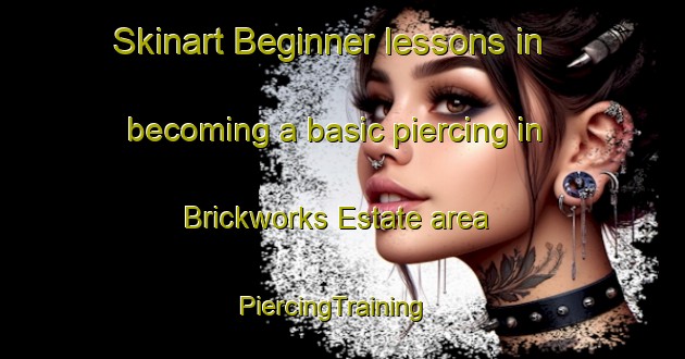 Skinart Beginner lessons in becoming a basic piercing in Brickworks Estate area | PiercingTraining | PiercingClasses | SkinartTraining-Singapore