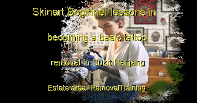Skinart Beginner lessons in becoming a basic tattoo removal in Bukit Panjang Estate area | RemovalTraining | RemovalClasses | SkinartTraining-Singapore