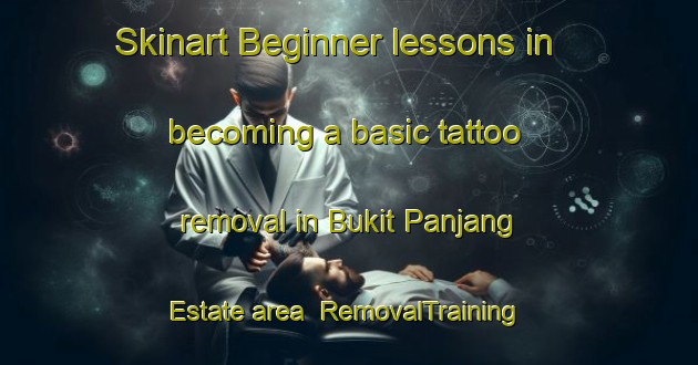 Skinart Beginner lessons in becoming a basic tattoo removal in Bukit Panjang Estate area | RemovalTraining | RemovalClasses | SkinartTraining-Singapore
