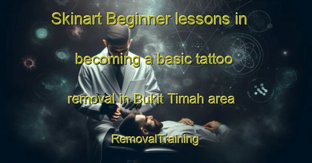 Skinart Beginner lessons in becoming a basic tattoo removal in Bukit Timah area | RemovalTraining | RemovalClasses | SkinartTraining-Singapore