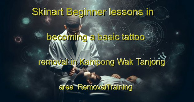 Skinart Beginner lessons in becoming a basic tattoo removal in Kampong Wak Tanjong area | RemovalTraining | RemovalClasses | SkinartTraining-Singapore