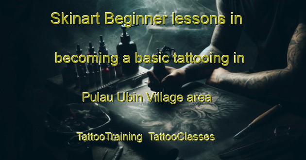 Skinart Beginner lessons in becoming a basic tattooing in Pulau Ubin Village area | TattooTraining | TattooClasses | SkinartTraining-Singapore