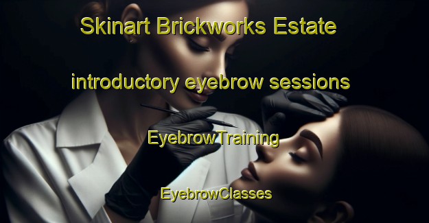 Skinart Brickworks Estate introductory eyebrow sessions | EyebrowTraining | EyebrowClasses | SkinartTraining-Singapore