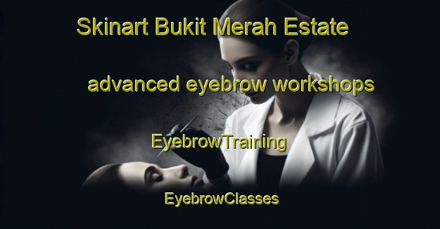 Skinart Bukit Merah Estate advanced eyebrow workshops | EyebrowTraining | EyebrowClasses | SkinartTraining-Singapore