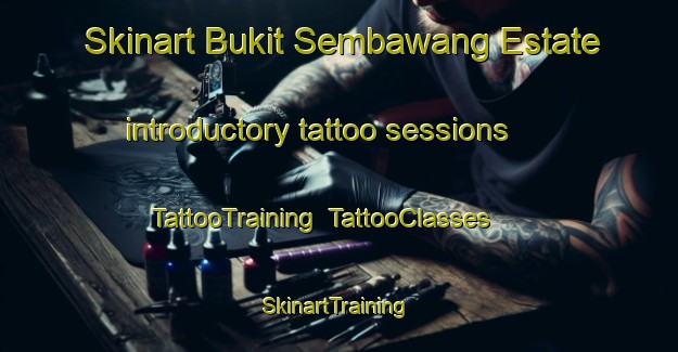 Skinart Bukit Sembawang Estate introductory tattoo sessions | TattooTraining | TattooClasses | SkinartTraining-Singapore