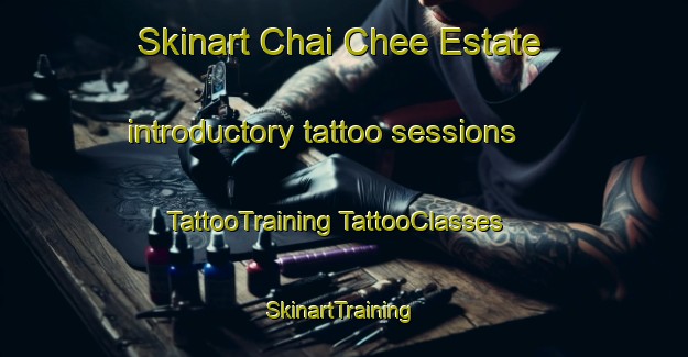 Skinart Chai Chee Estate introductory tattoo sessions | #TattooTraining #TattooClasses #SkinartTraining-Singapore