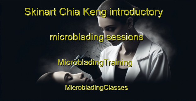 Skinart Chia Keng introductory microblading sessions | MicrobladingTraining | MicrobladingClasses | SkinartTraining-Singapore
