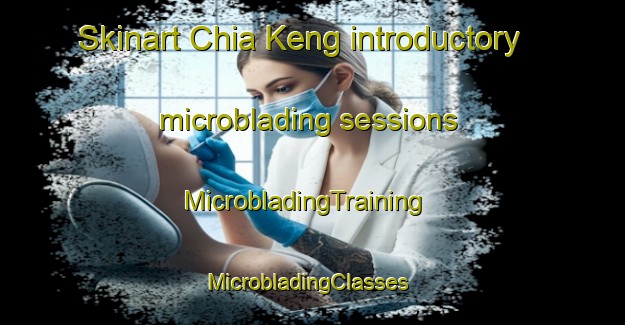 Skinart Chia Keng introductory microblading sessions | MicrobladingTraining | MicrobladingClasses | SkinartTraining-Singapore