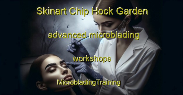 Skinart Chip Hock Garden advanced microblading workshops | MicrobladingTraining | MicrobladingClasses | SkinartTraining-Singapore