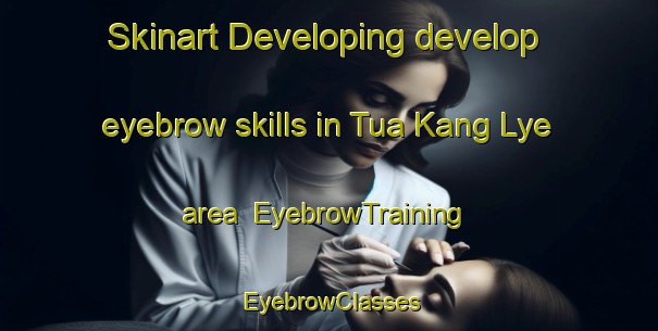 Skinart Developing develop eyebrow skills in Tua Kang Lye area | EyebrowTraining | EyebrowClasses | SkinartTraining-Singapore