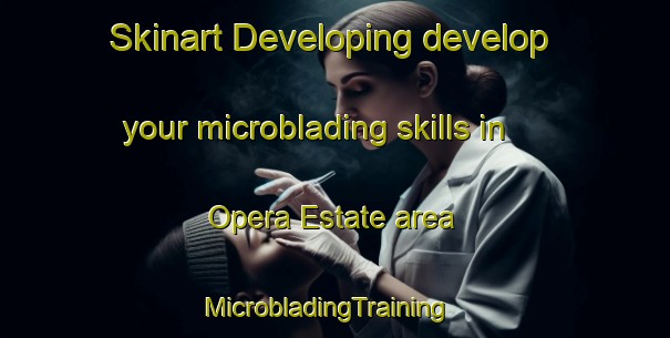Skinart Developing develop your microblading skills in Opera Estate area | MicrobladingTraining | MicrobladingClasses | SkinartTraining-Singapore