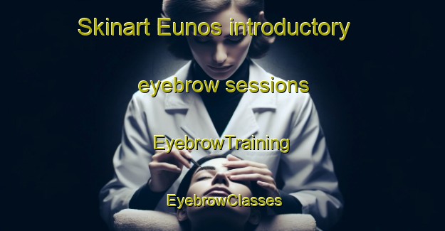 Skinart Eunos introductory eyebrow sessions | EyebrowTraining | EyebrowClasses | SkinartTraining-Singapore