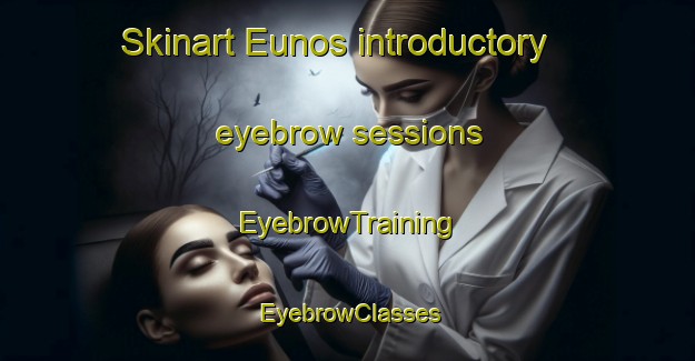 Skinart Eunos introductory eyebrow sessions | EyebrowTraining | EyebrowClasses | SkinartTraining-Singapore