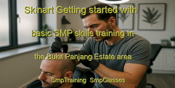 Skinart Getting started with basic SMP skills training in the Bukit Panjang Estate area | SmpTraining | SmpClasses | SkinartTraining-Singapore