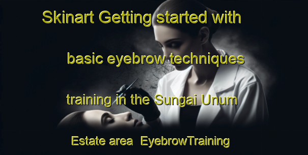 Skinart Getting started with basic eyebrow techniques training in the Sungai Unum Estate area | EyebrowTraining | EyebrowClasses | SkinartTraining-Singapore