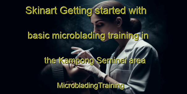 Skinart Getting started with basic microblading training in the Kampong Seminei area | MicrobladingTraining | MicrobladingClasses | SkinartTraining-Singapore