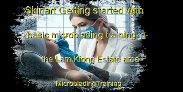 Skinart Getting started with basic microblading training in the Lam Kiong Estate area | MicrobladingTraining | MicrobladingClasses | SkinartTraining-Singapore