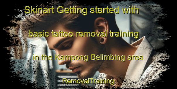 Skinart Getting started with basic tattoo removal training in the Kampong Belimbing area | RemovalTraining | RemovalClasses | SkinartTraining-Singapore