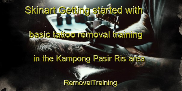 Skinart Getting started with basic tattoo removal training in the Kampong Pasir Ris area | RemovalTraining | RemovalClasses | SkinartTraining-Singapore