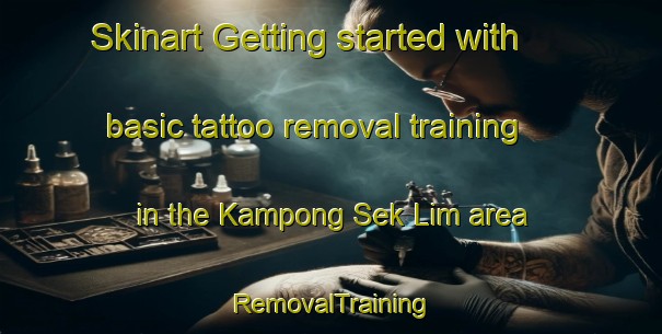 Skinart Getting started with basic tattoo removal training in the Kampong Sek Lim area | RemovalTraining | RemovalClasses | SkinartTraining-Singapore