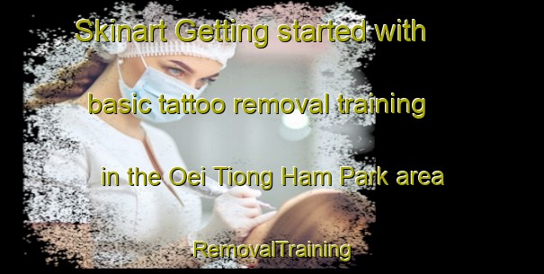 Skinart Getting started with basic tattoo removal training in the Oei Tiong Ham Park area | RemovalTraining | RemovalClasses | SkinartTraining-Singapore