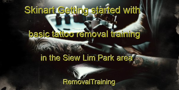 Skinart Getting started with basic tattoo removal training in the Siew Lim Park area | RemovalTraining | RemovalClasses | SkinartTraining-Singapore