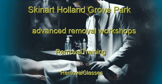 Skinart Holland Grove Park advanced removal workshops | RemovalTraining | RemovalClasses | SkinartTraining-Singapore