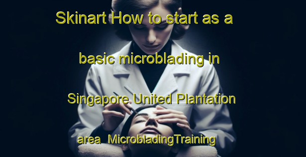Skinart How to start as a basic microblading in Singapore United Plantation area | MicrobladingTraining | MicrobladingClasses | SkinartTraining-Singapore