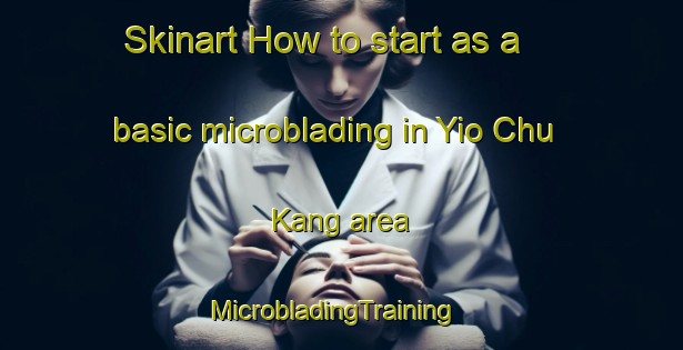 Skinart How to start as a basic microblading in Yio Chu Kang area | MicrobladingTraining | MicrobladingClasses | SkinartTraining-Singapore