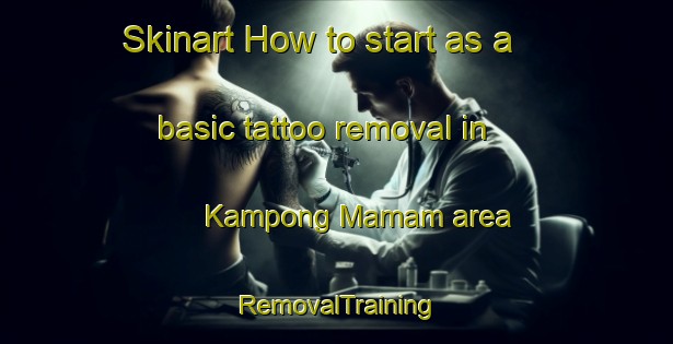 Skinart How to start as a basic tattoo removal in Kampong Mamam area | RemovalTraining | RemovalClasses | SkinartTraining-Singapore