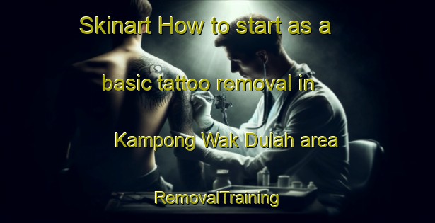 Skinart How to start as a basic tattoo removal in Kampong Wak Dulah area | RemovalTraining | RemovalClasses | SkinartTraining-Singapore