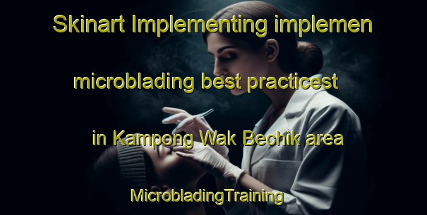Skinart Implementing implemen microblading best practicest in Kampong Wak Bechik area | MicrobladingTraining | MicrobladingClasses | SkinartTraining-Singapore