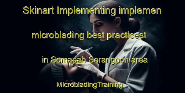 Skinart Implementing implemen microblading best practicest in Somapah Serangoon area | MicrobladingTraining | MicrobladingClasses | SkinartTraining-Singapore
